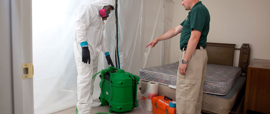 Tempe, AZ mold removal process